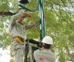 Hà Nội: Cắt điện hàng loạt để chặt cây, bảo dưỡng đường dây