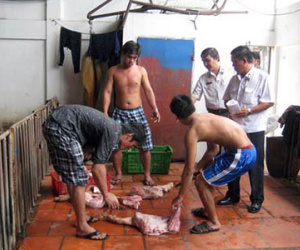 Phát hiện thịt heo nhiễm vi khuẩn "cực nguy hiểm" ở lò giết mổ