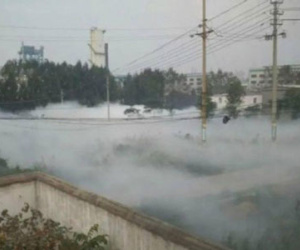 Trung Quốc: Rò rỉ hóa chất khiến trẻ ho ra máu, động vật chết