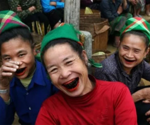 Ba anh em được đặt tên Trâu - Bò - Bê đặc biệt nhất ở Việt Nam