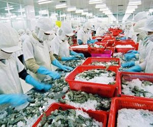 Rau quả Việt Nam gặp hạn vì Trung Quốc