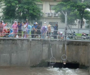 Đổ xô đi bắt cá sau mưa ngập ở Hà Nội