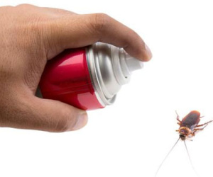 Thuốc xịt côn trùng làm tăng nguy cơ ung thư ở trẻ nhỏ