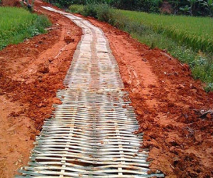 Con đường "bê tông tre" độc đáo để học sinh được đến lớp với đôi chân sạch