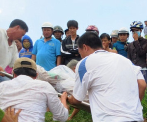 Ảnh bìa bài viết 319360