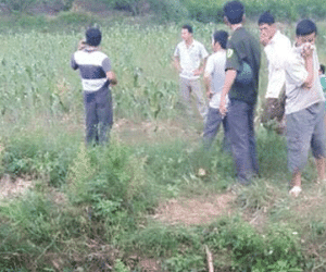 Bàng hoàng phát hiện nhiều bộ phận thi thể người trên suối
