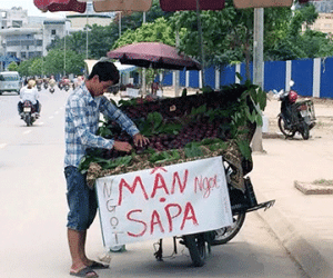 Bóc mẽ mận Trung Quốc đội lốt Sapa