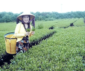 Vụ nữ doanh nhân Hà Thúy Linh tử vong ở Trung Quốc: Người nhà chỉ mới tiếp cận thi thể để nhận dạng