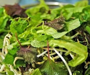 Cách loại bỏ ký sinh trùng trên rau sống