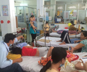 Sốt xuất huyết lên đỉnh dịch, Bộ Y tế cấm tăng giá thuốc