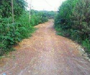 Hại đời thiếu nữ trong đêm Trung thu