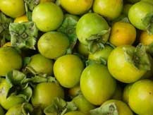 Đặc sản Đà Lạt giá 2.000 đồng/kg, về Hà Nội tăng hơn 20 lần
