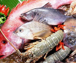 Mùa thu, không nên ăn món gì khi bị ho?