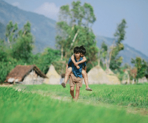 "Tôi Thấy Hoa Vàng Trên Cỏ Xanh" - Hiện tượng chưa từng thấy trong lịch sử điện ảnh Việt
