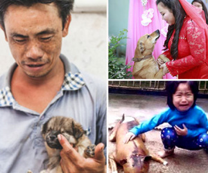 Câu chuyện không tưởng đằng sau 3 bức ảnh gây bão "like"