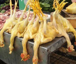 Phát hiện thêm chất có thể gây ung thư dùng trong chăn nuôi