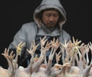 Bây giờ có hít khí trời cũng độc hại!