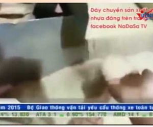 Dây chuyền sản xuất gạo nhựa ở Hưng Yên?