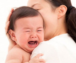 Ảnh bìa bài viết 321619