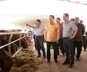 Bầu Đức: "Tôi không ngại TPP"