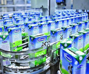 Bán 9 doanh nghiệp không bằng bán một phần Vinamilk