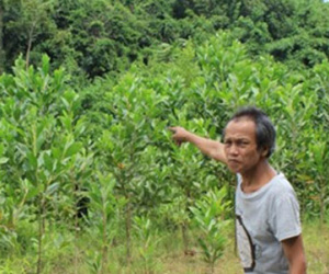 Ghê rợn hủ tục hành hình những cặp đôi "ăn cơm trước kẻng"