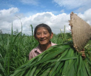 Anh hùng Hồ Giáo qua đời