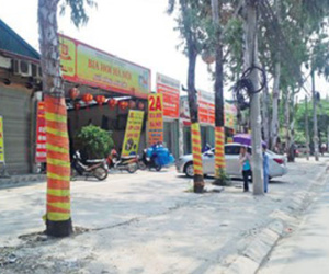 Hà Nội: "Xã hội đen" bao thầu công trình sai phép?
