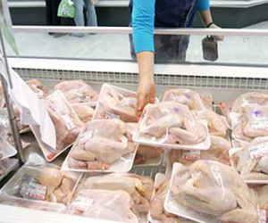 Giá gà Mỹ nhập khẩu rẻ vì Việt Nam phớt lờ dịch bệnh