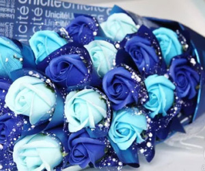 Cận cảnh 3 loại hoa hồng khiến mọi phụ nữ đều "thèm muốn" dịp 20/10