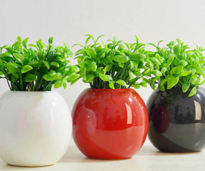 Cấm kỵ cần nhớ khi bày bình hoa trong phòng khách