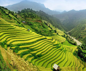 Việt Nam vào top quốc gia phải đến một lần trong đời