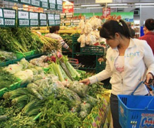 Ảnh bìa bài viết 324449