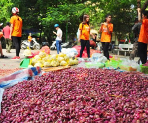 Hành, tỏi Lý Sơn bán đổ đống ở Hà Nội