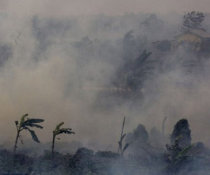 Cháy rừng ở Indonesia: Thảm họa nhân tạo tồi tệ nhất
