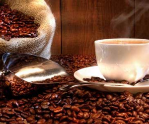 Các nhà rang xay thế giới cảnh báo cà phê Việt Nam