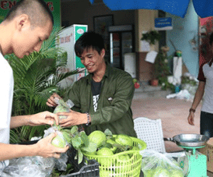 Lệ Rơi và những ảo tưởng trên mạng