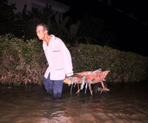 Triều cường đạt đỉnh, người Sài Gòn cuống cuồng chạy ngập