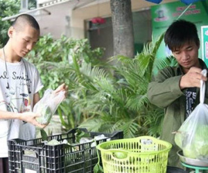 Sốc với suy nghĩ đáng sợ của Lệ Rơi khi quá bế tắc, nợ nần