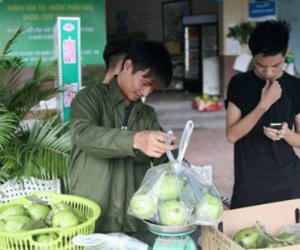 Khi showbiz Việt bị biến thành… cái chợ!