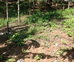 Ảnh bìa bài viết 325963
