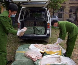 450 kg nầm lợn thối từ Trung Quốc tuồn vào Việt Nam
