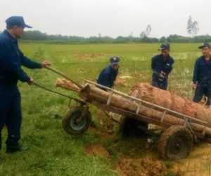 Phát hiện quả bom "khủng" nặng gần 1 tấn ở ruộng lúa