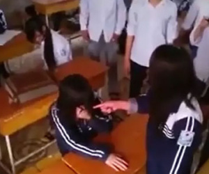 Hoảng vì những vụ "đánh ghen" nữ sinh