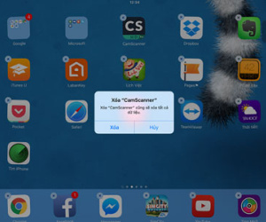 Hướng dẫn chặn iTunes tự động cài lại app trên iPhone/iPad