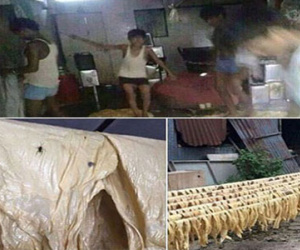 Sự thật về bức ảnh váng đậu bẩn gây rúng động