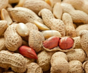 Ăn lạc thế này, ung thư gan có ngày!