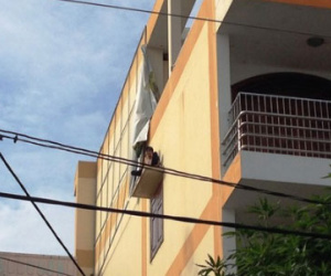 Ngáo đá quậy tưng trên tấm đan cửa sổ nhà trẻ cao 20m