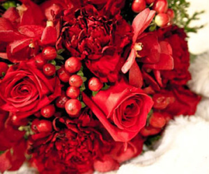 Vận may ngày thứ năm (5/11)