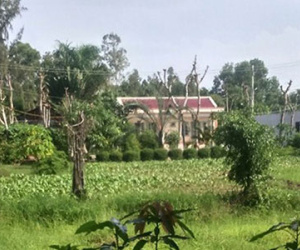 Thanh niên bị tạm giam tử vong trước ngày ra tòa